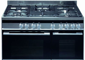 Fisher & Paykel Range Service